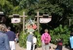 It's tough to be a Bug in Discovery Island at Disney Animal Kingdom