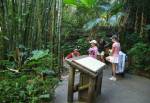 Africa Kids Discovery Club in the Pangani Forest
Exploration Trail at Disney Animal Kingdom