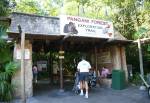 Pangani Forest Exploration Trail in Africa at Disney Animal Kingdom