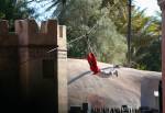 Indiana Jones Epic Stunt Spectacular at Echo Lake in Disney's Hollywood Studios