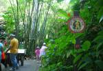 Africa Kids Discovery Club in the Pangani Forest
Exploration Trail at Disney Animal Kingdom