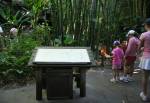 Africa Kids Discovery Club in the Pangani Forest
Exploration Trail at Disney Animal Kingdom