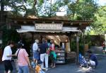 Daka la Filimu in Africa at Disney Animal Kingdom