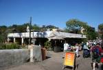 Dawa Bar in Africa at Disney Animal Kingdom