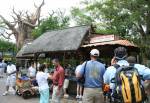 Refreshing Fruits at Harambe Fruit Market in Africa at Disney Animal Kingdom