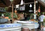 Refreshing Fruits at Harambe Fruit Market in Africa at Disney Animal Kingdom