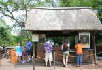 Harambe Popcorn in Africa at Disney Animal Kingdom