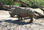 Kilimanjaro Safaris in Africa at Disney Animal Kingdom