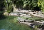 Kilimanjaro Safaris in Africa at Disney Animal Kingdom