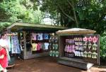 Maharajah Jungle Trek Shop in Asia at Disney Animal Kingdom