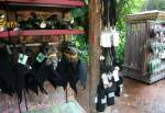 Maharajah Jungle Trek Shop in Asia at Disney Animal Kingdom
