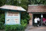 Maharajah Jungle Trek in Asia at Disney Animal Kingdom