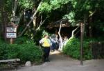 Donald Duck at Camp Minnie Mickey Character Greeting Trails at Disney Animal Kingdom