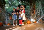 Donald Duck at Camp Minnie Mickey Character Greeting Trails at Disney Animal Kingdom