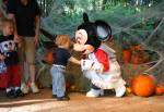 Donald Duck at Camp Minnie Mickey Character Greeting Trails at Disney Animal Kingdom