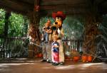 Donald Duck at Camp Minnie Mickey Character Greeting Trails at Disney Animal Kingdom