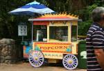 Safari Popcorn on Discovery Island at Disney Animal Kingdom