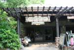 Garden Gate Gifts in Oasis at Disney Animal Kingdom