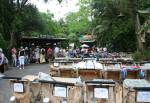 Pin Station Discovery Island at Disney's Animal Kingdom