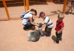 Affection Station in Rafiki's Planet Watch at Disney Animal Kingdom