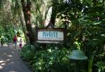 Wildlife at Rafiki's Planet Watch in Disney Animal Kingdom