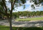 Car Park Shuttle at Disney's Animal Kingdom