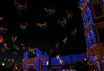 The Osborne Family Spectacle of Dancing Lights at Disney Hollywood Studios