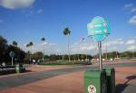 Disney's Hollywood Studios Buses near the Main Entrance