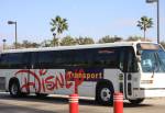 Disney's Hollywood Studios Buses near the Main Entrance