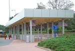 Buses at Epcot in Disney