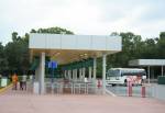 Buses at Epcot in Disney