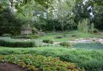 Victoria Gardens in Canada of the World Showcase at Disney Epcot