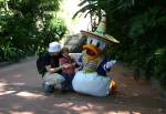 Donald Duck Character Greet at Mexico of the World Showcase at Disney Epcot