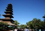 Enchanted Tiki Room in Adventureland at Disney Magic Kingdom