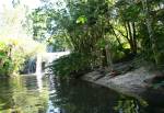 Jungle Cruise in Adventureland at Magic Kingdom