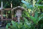 The Swiss Family Robinson Tree House in Adventureland at Magic Kingdom