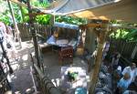 The Swiss Family Robinson Tree House in Adventureland at Magic Kingdom