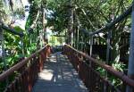 The Swiss Family Robinson Tree House in Adventureland at Magic Kingdom