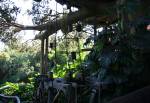 The Swiss Family Robinson Tree House in Adventureland at Magic Kingdom