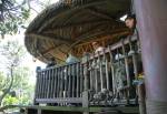 The Swiss Family Robinson Tree House in Adventureland at Magic Kingdom