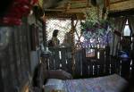 The Swiss Family Robinson Tree House in Adventureland at Magic Kingdom