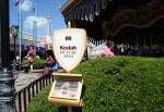 Sword in the Stone in Fantasyland at Disney Magic Kingdom