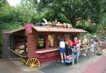 Frontierland Fries in Frontierland at Disney Magic Kingdom