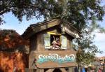 Splash Mountain in Fronteirland at Magic Kingdom