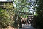 Tom Sawyer Island in Frontierland at Disney Magic Kingdom