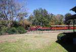 Walt Disney World Railroad from Monorail Station at Magic Kingdom