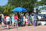 Magic Kingdom Ferry at the Transportation and Ticket Center of Disney World